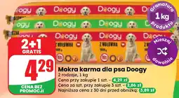 Dino Mokra karma dla psa Doogy oferta