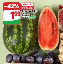 Dino Arbuz polski oferta