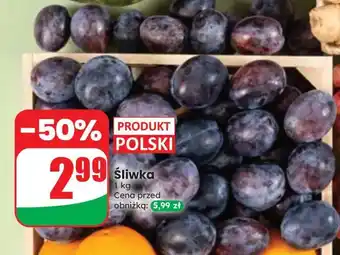 Dino Śliwka oferta