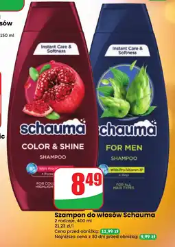 Dino Szampon do włosów Schauma oferta