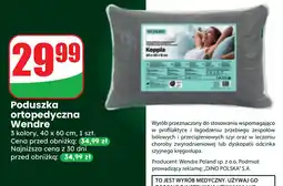 Dino Poduszka ortopedyczna Wendre oferta
