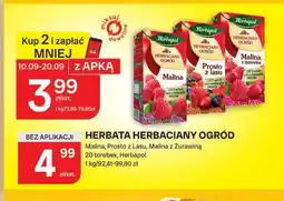 Chorten Herbata Herbapol Herbaciany Ogród Malina oferta