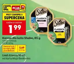 Biedronka Karma dla kota Sheba Classics w terynie z łososiem oferta