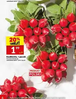 Twój Market Rzodkiewka oferta