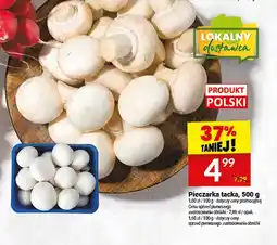 Twój Market Pieczarka tacka oferta