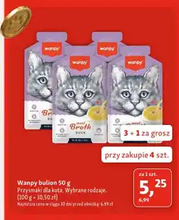 Maxi Zoo Bulion dla kota Wanpy oferta