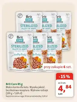 Maxi Zoo Mokra karma dla kota Brit Care oferta