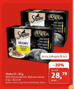 Maxi Zoo Mokra karma dla kota Sheba 12-pak oferta