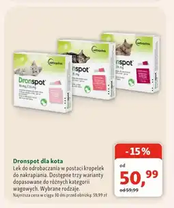 Maxi Zoo Krople do nakrapiania Dronspot dla kota oferta