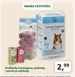 Maxi Zoo Pieluchy Take Care oferta