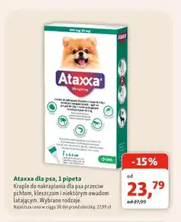 Maxi Zoo Krople do nakrapiania Ataxxa dla psa 1 pipeta oferta