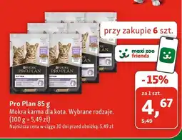 Maxi Zoo Mokra karma dla kota Purina Pro Plan oferta