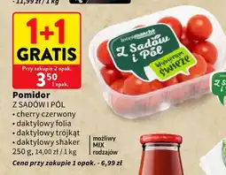 Intermarche Pomidory daktylowe folia Z Sadów i Pól oferta