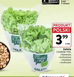 Intermarche Sałata batawska Z Sadów i Pól oferta