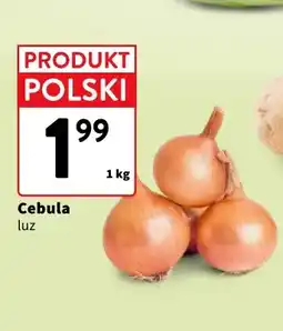 Intermarche Cebula polska oferta