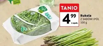 Intermarche Rukola Z Sadów i Pól oferta