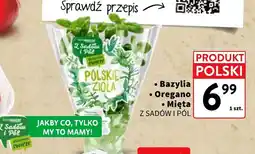 Intermarche Oregano Z Sadów i Pól oferta
