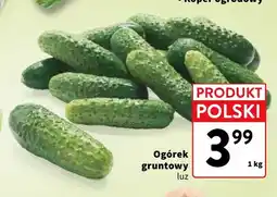 Intermarche Ogórki gruntowe polskie oferta