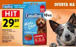 Intermarche Karma dla psa Canaillou Miska Dnia z wołowiną oferta