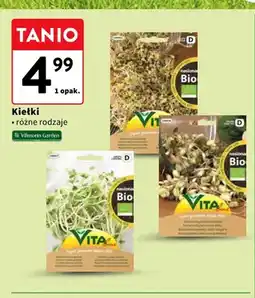 Intermarche Kiełki Vilmorin Garden oferta