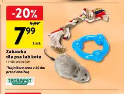Intermarche Zabawka dla psa Tatrapet oferta