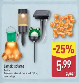 ALDI Łańcuch solarny Ok oferta