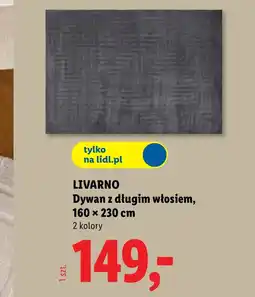 Lidl Dywan Livarno oferta