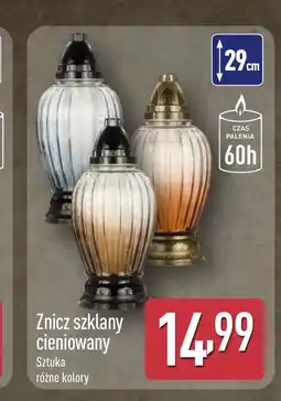 ALDI Znicz oferta