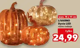 Kaufland Sztuczna dynia Livarno oferta