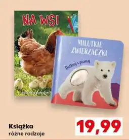 Kaufland Książka oferta