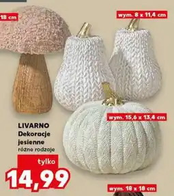 Kaufland LIVARNO Dekoracje jesienne różne rodzaje oferta