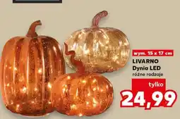 Kaufland LIVARNO Dynia LED oferta