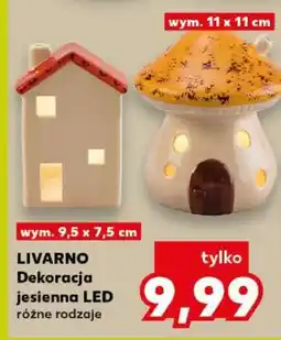 Kaufland LIVARNO Dekoracja jesienna LED oferta