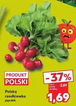 Kaufland Polska rzodkiewka pęczek oferta