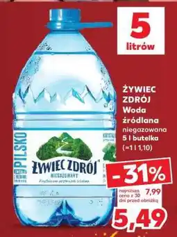Kaufland ŻYWIEC ZDRÓJ oferta