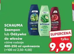 Kaufland SCHAUMA Szampon lub Odżywka do włosów oferta