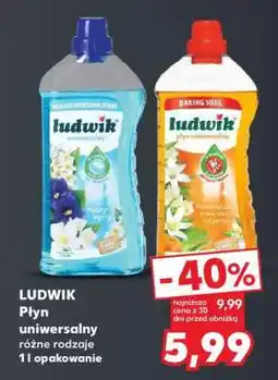 Kaufland LUDWIK Płyn uniwersalny oferta
