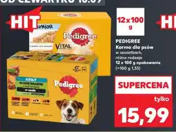 Kaufland PEDIGREE Karma dla psów oferta