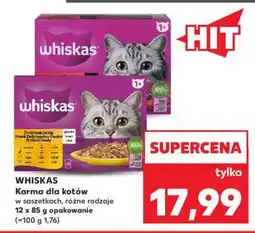 Kaufland WHISKAS Karma dla kotów oferta