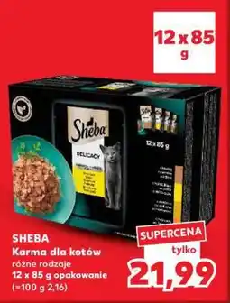 Kaufland SHEBA Karma dla kotów oferta