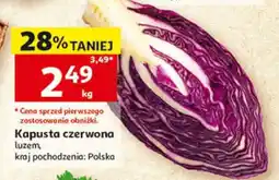Auchan Kapusta czerwona oferta