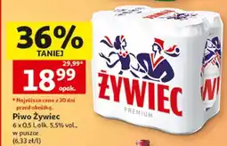 Auchan Piwo Żywiec oferta
