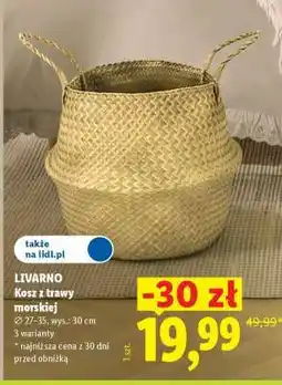 Lidl LIVARNO Kosz z trawy morskiej oferta