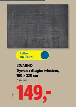 Lidl LIVARNO Dywan z długim włosiem oferta