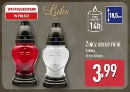 ALDI Znicz serce mini oferta