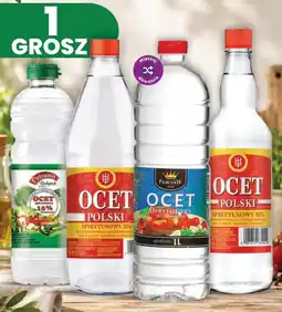 Dino OCET POLSKI oferta