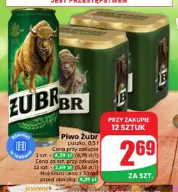 Dino Piwo Żubr oferta