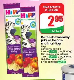 Dino Batonik owocowy jabłko banan malina Hipp oferta