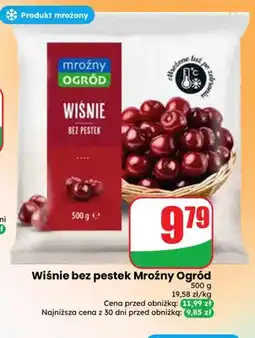 Dino Wiśnie bez pestek Mroźny Ogród oferta