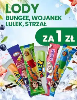 Dino Lody Strzał truskawka i marakuja oferta